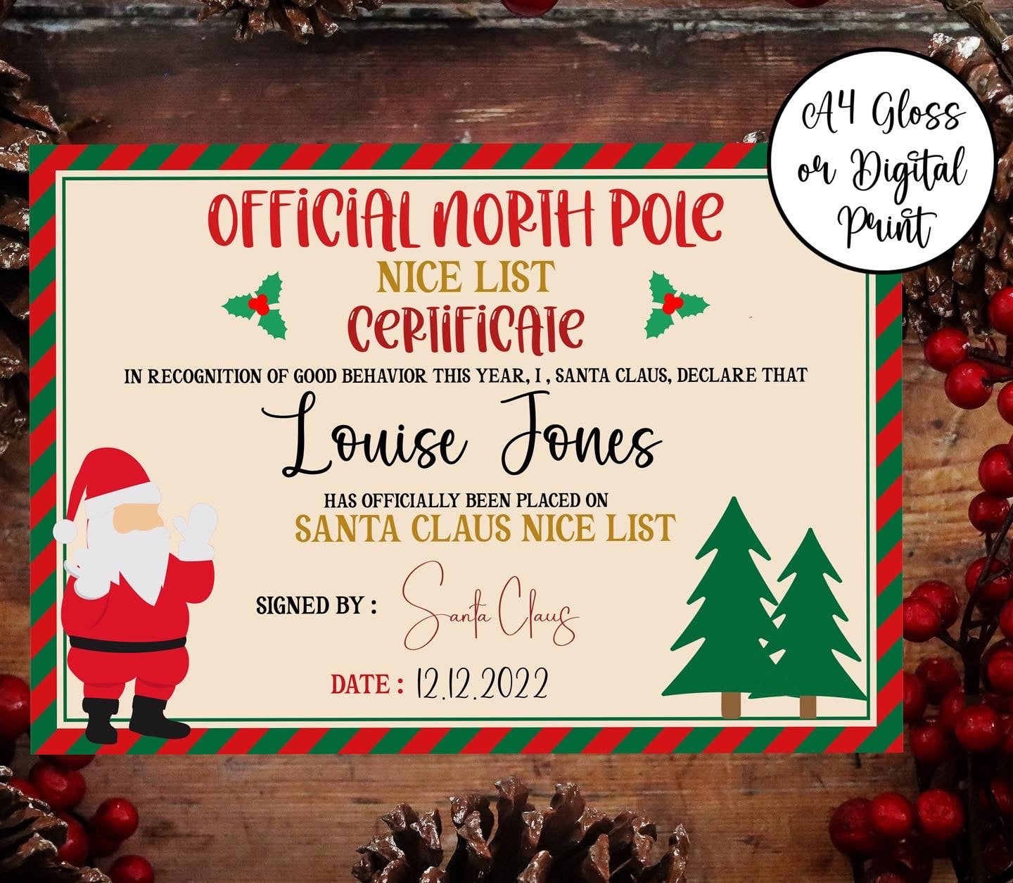 Official Nice list Certificate Christmas Stocking filler