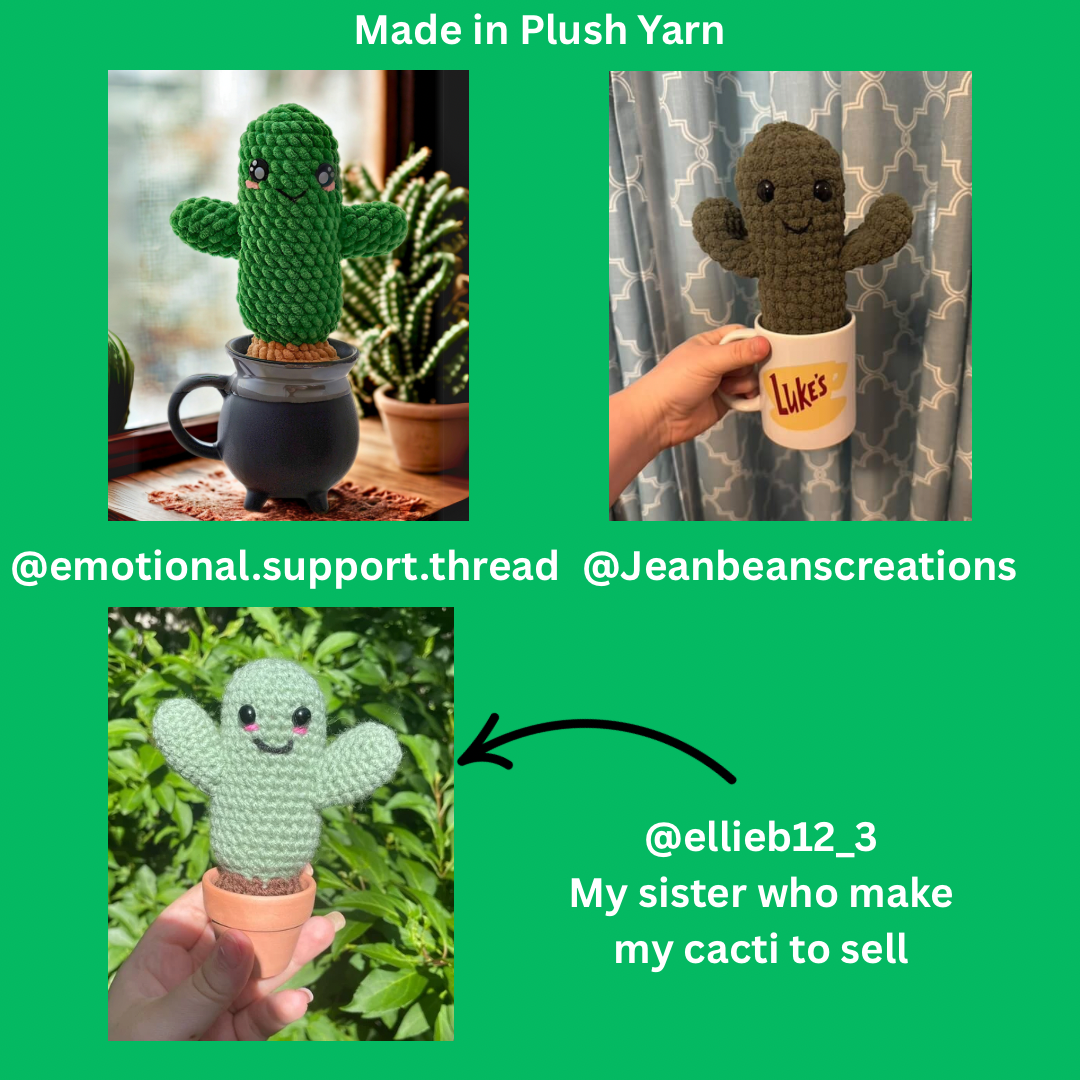 Crochet Cactus in Pot Digital Downloads pattern