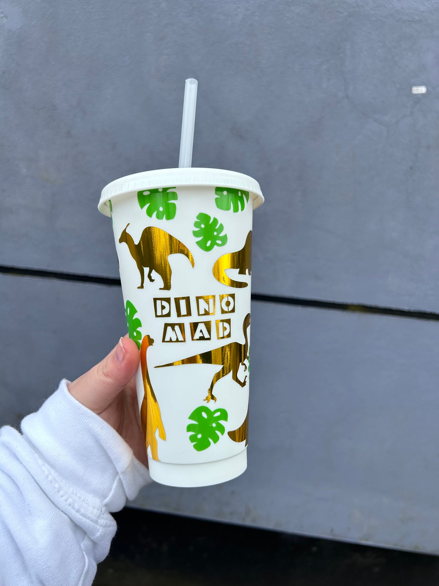 Dino Mad 24oz Cold Cup