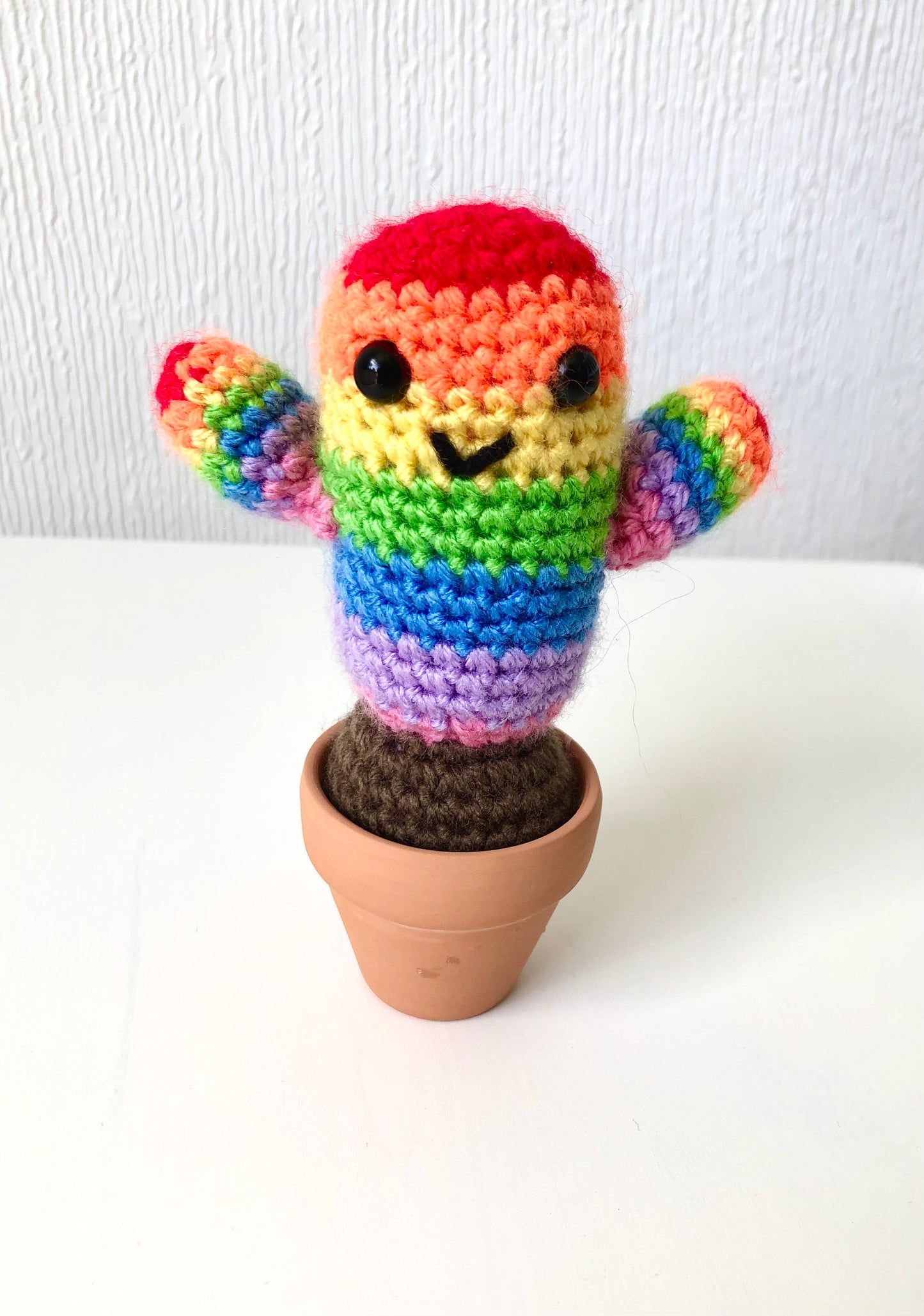 Cactus Crochet your own Kit