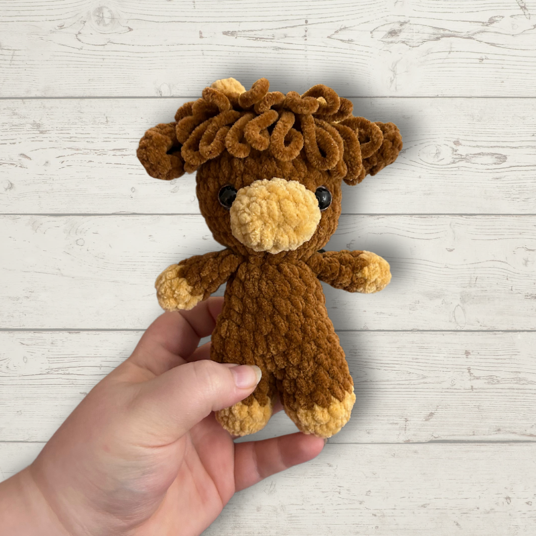 Small Highland Cow