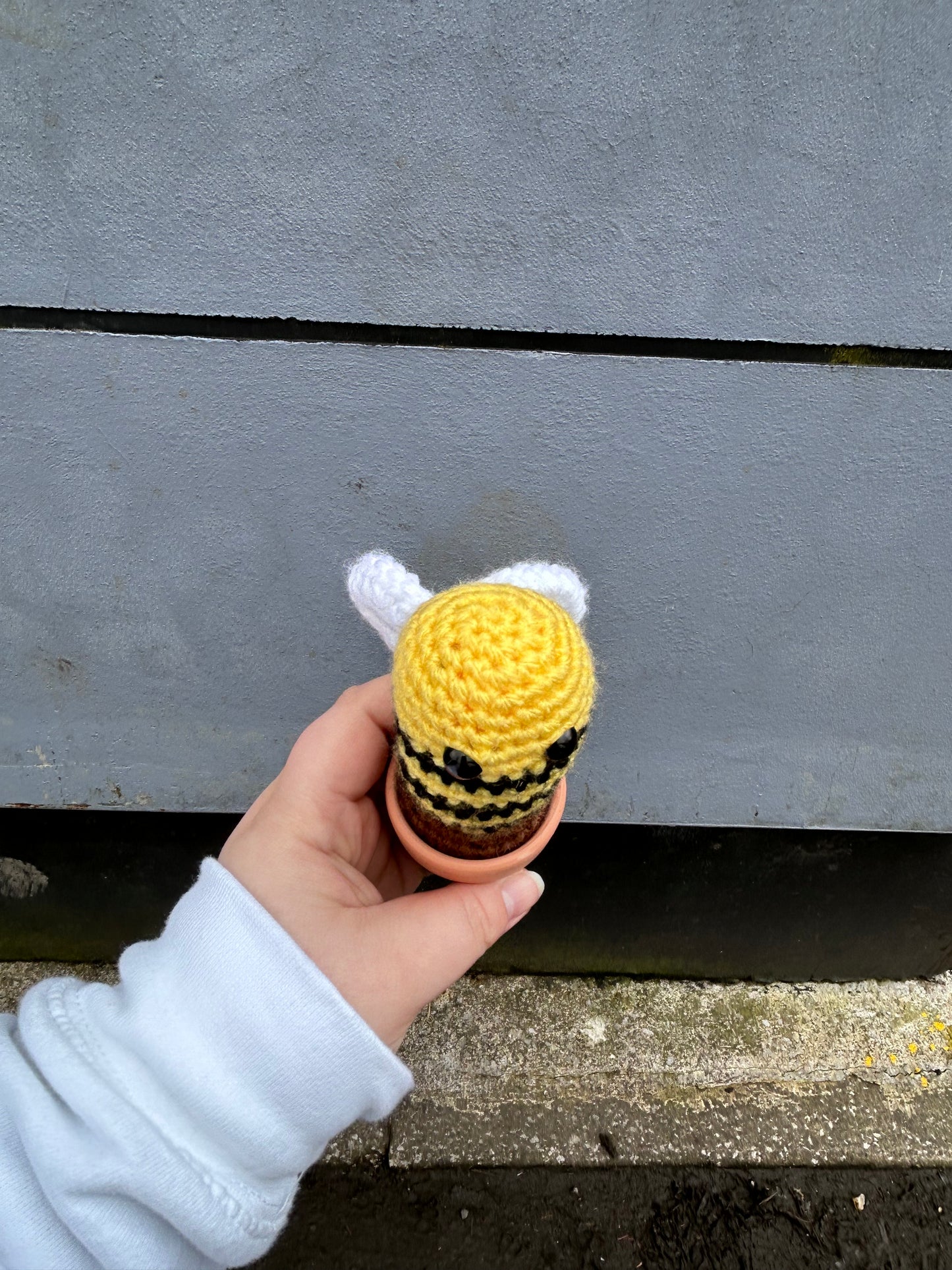 Bee Crochet Cactus in Pot