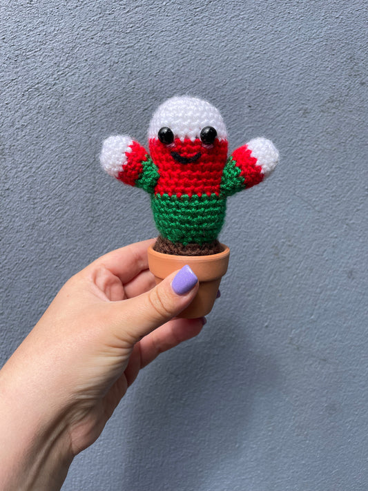 Welsh Colours Crochet Cactus in Pot