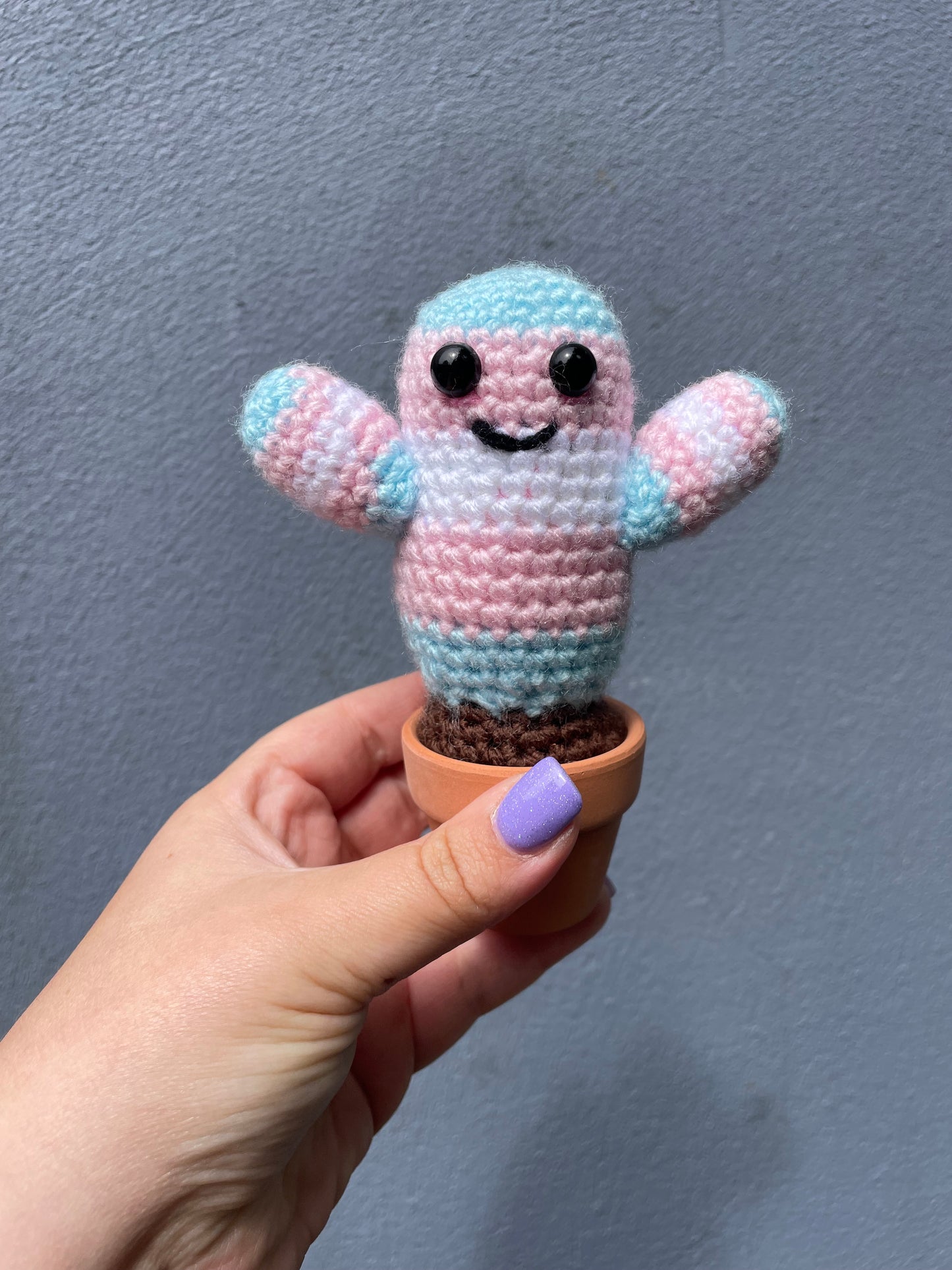 Transgender Flag Crochet Cactus in Pot