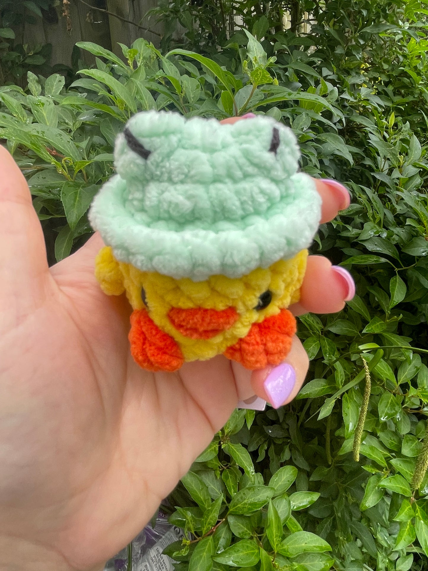 Duck in Frog Hat Crochet Toy