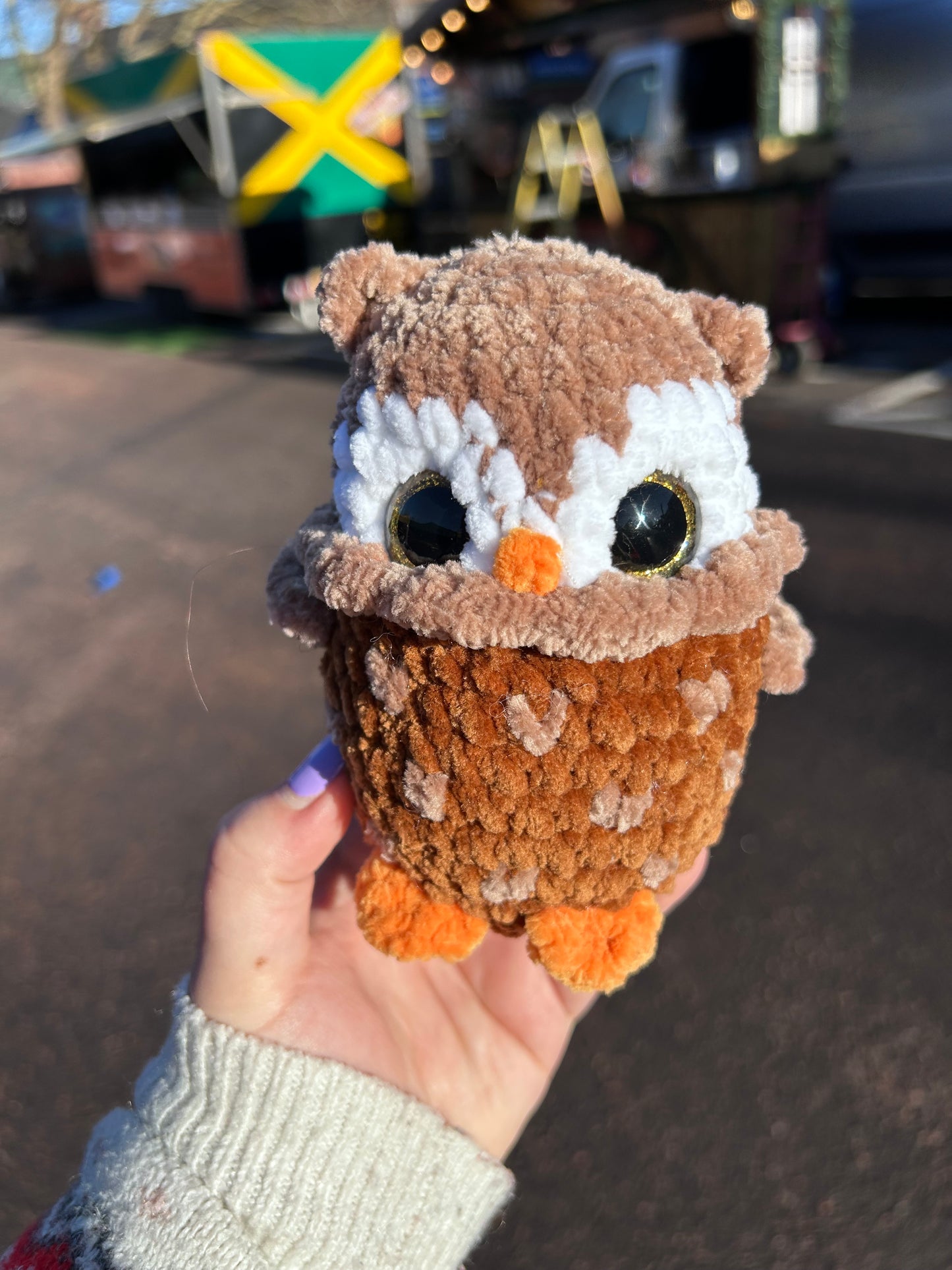 Owl Crochet Toy