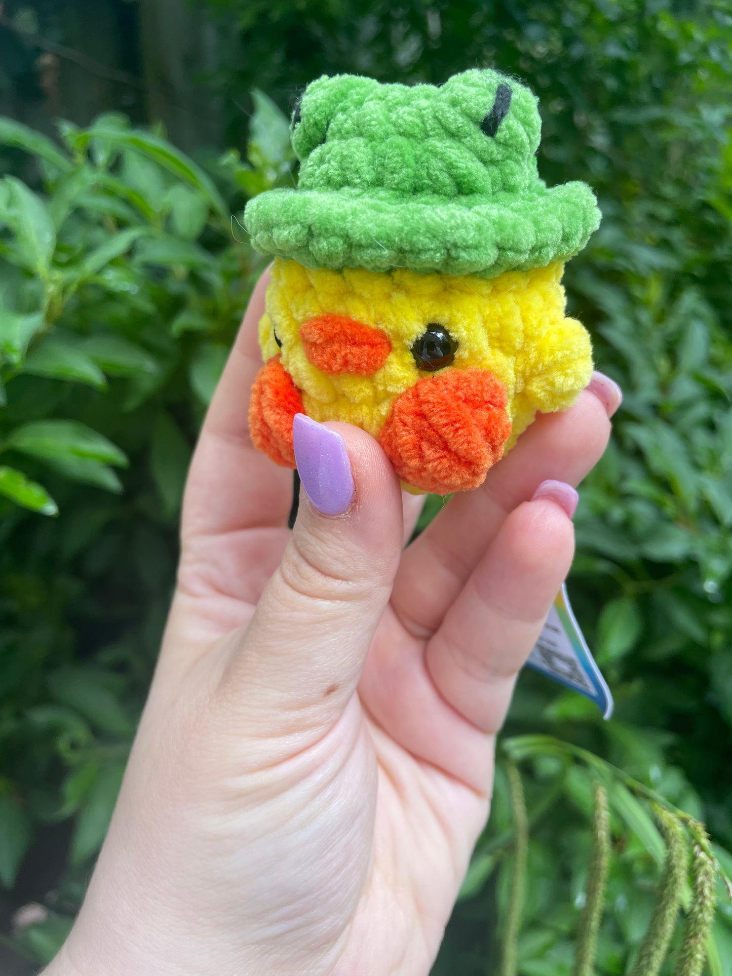 Duck in Frog Hat Crochet Toy