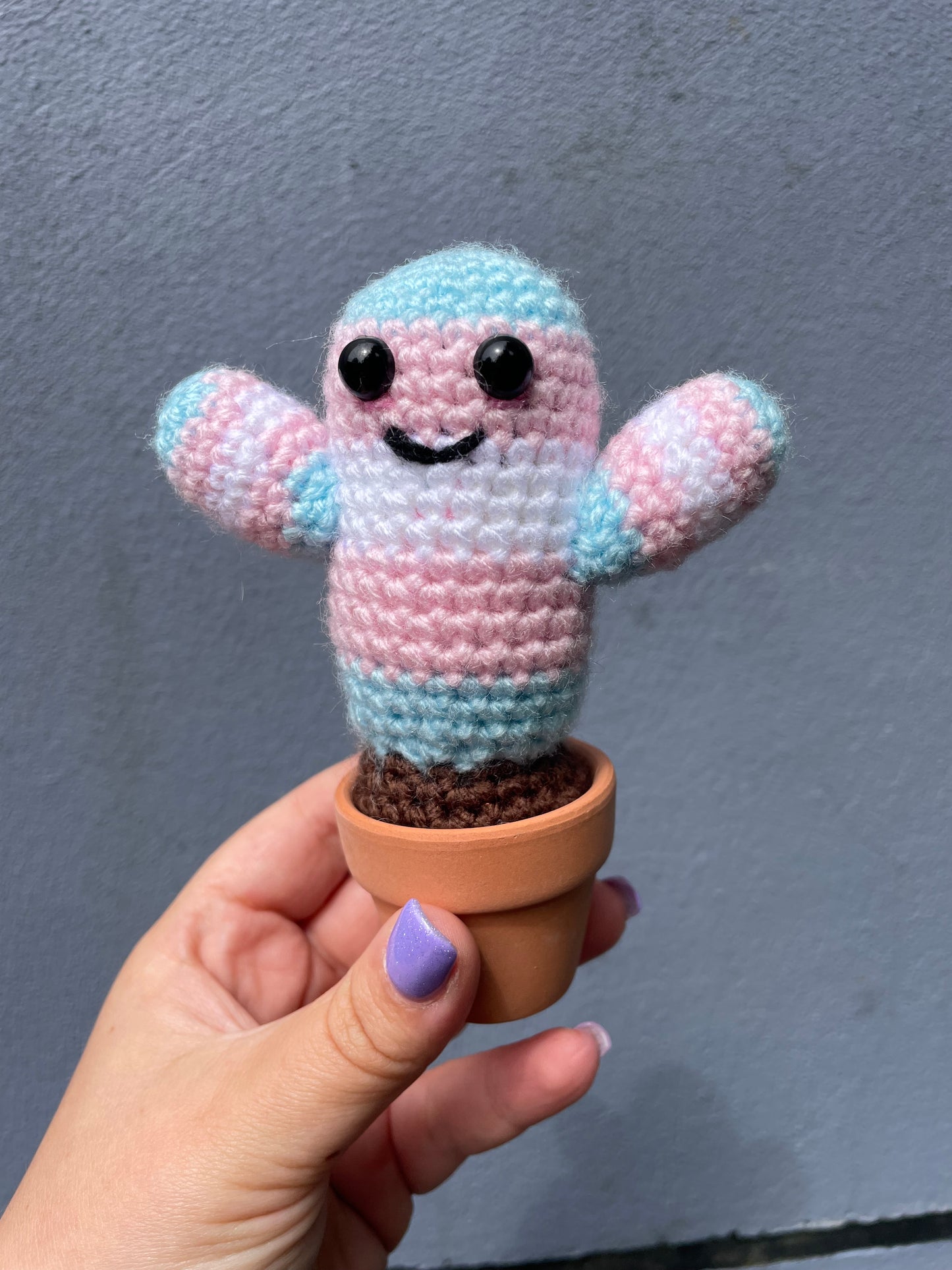 Transgender Flag Crochet Cactus in Pot