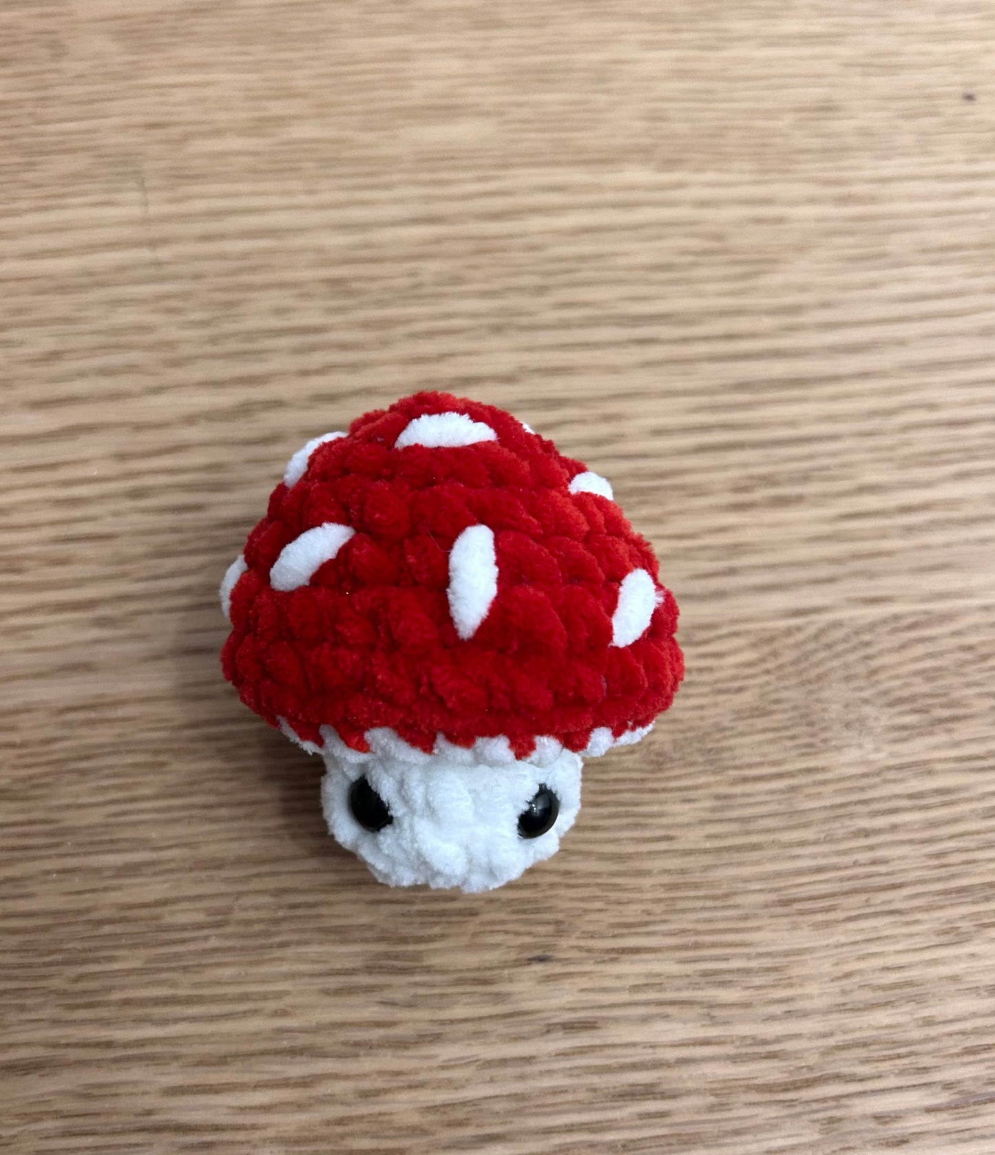 Pop up Mushroom Crochet your own kit