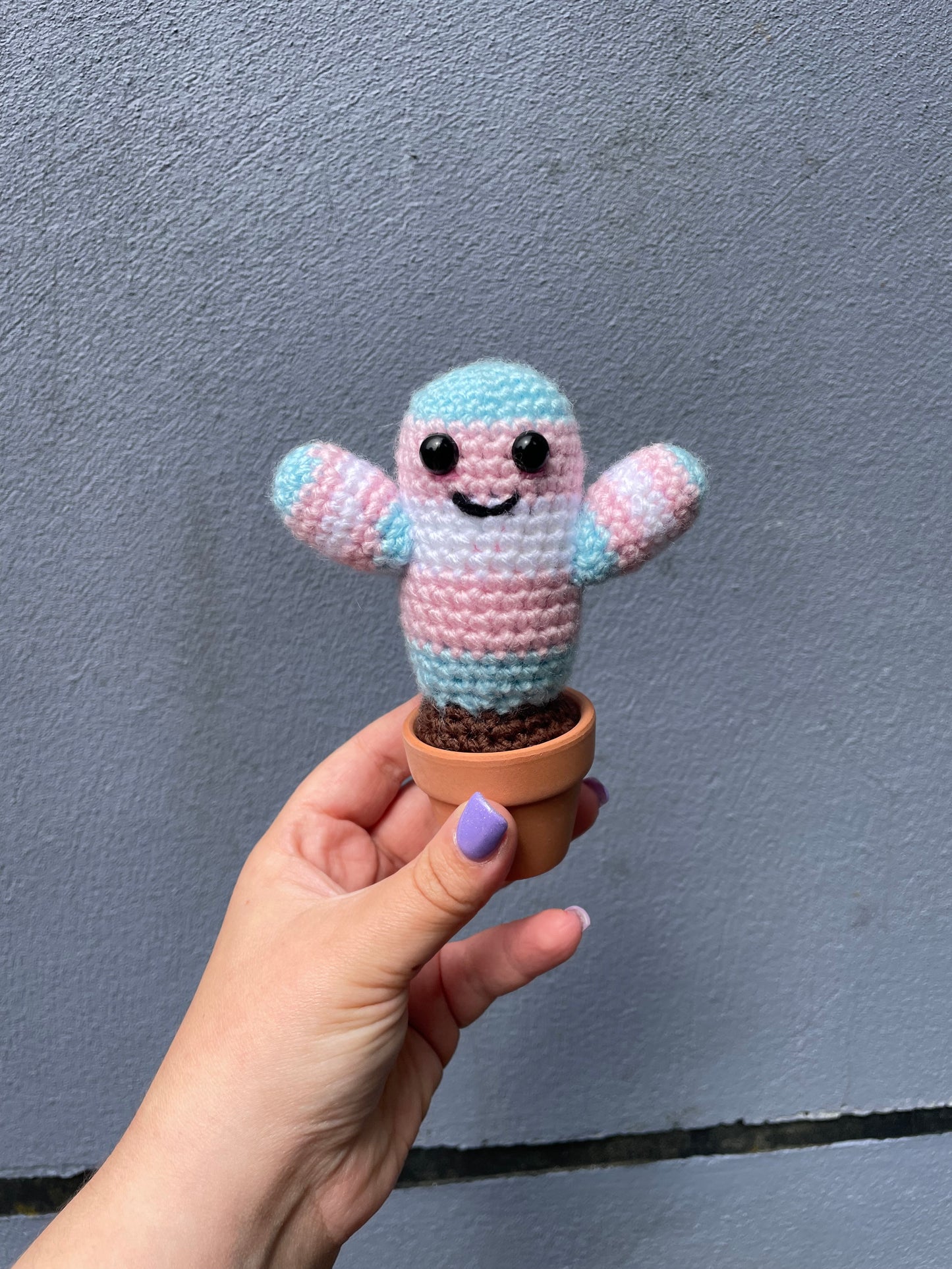 Transgender Flag Crochet Cactus in Pot